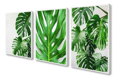 Kit 3 Quadro Decorativo Folhagens Verde Costela Adão Moderno