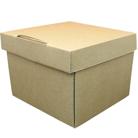 Cajas Carton Cuadrada Automontables Con Tapa Unida Bio X X Mm