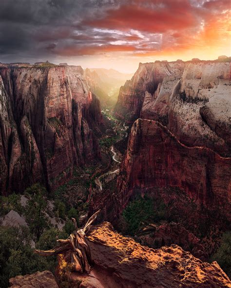 Mt Zion National Park Rhownifty