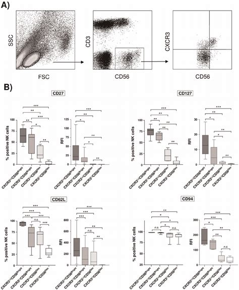 Cxcr3 Expression Dissects Phenotypically Distinct Nk Cell Subsets