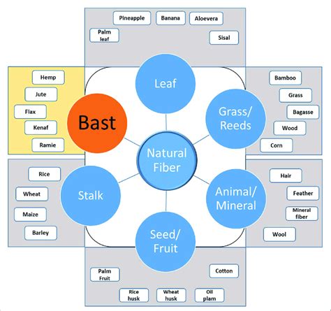 Types Of Natural Fibers Download Scientific Diagram