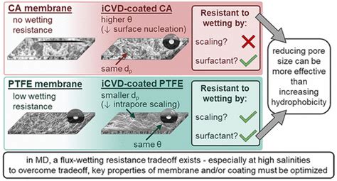 Hydrophobicity Versus Pore Size Polymer Coatings To Improve Membrane