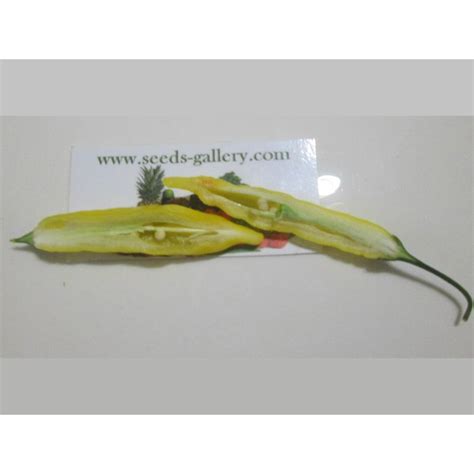 Precio €150 Semillas De Chile Lemon Drop Capsicum Baccatum