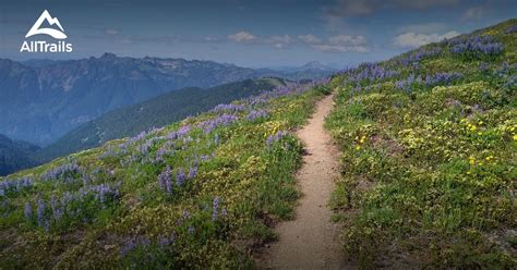 10 Best hikes and trails in Mount Baker Wilderness | AllTrails