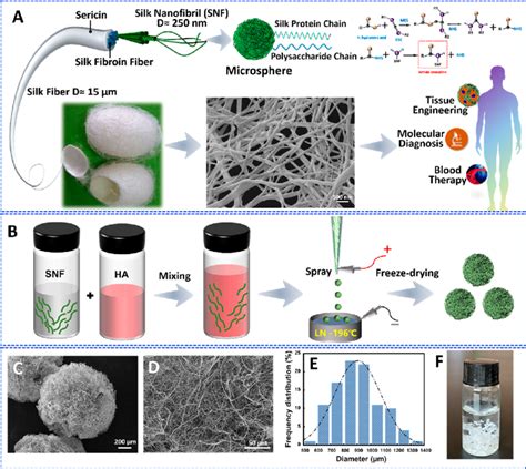 Preparation Process And Structure Of Snf Microspheres A Schematic