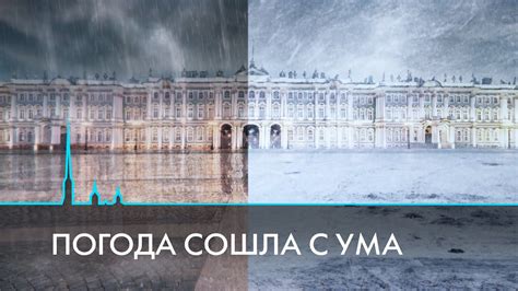 Температурные качели в Санкт-Петербурге. Что происходит с погодой ...