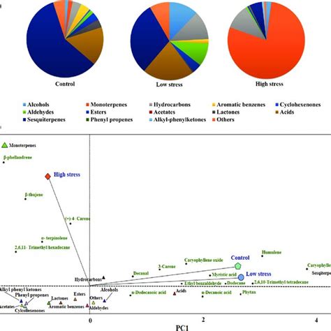 Relative Content Of Functional Groups Of Different Volatile Organic Download Scientific Diagram