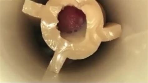 在莱利里德riley Reid的肉体之光中射精 Pornhub Gay