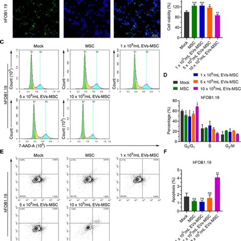 A High Concentration Of Hucmsc Exosomes Inhibited The Proliferation Of Download Scientific