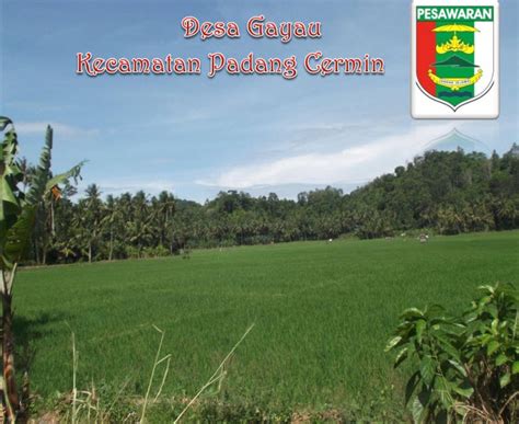 Selamat Datang Di Website Resmi Desa Gayau Kecamatan Padang Cermin