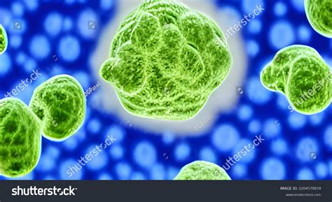 Bacterial Cells Under Microscope