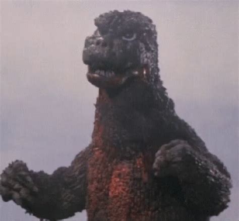 Godzilla Gojira Godzilla Gojira Funny