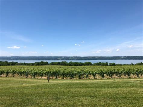 Seneca Lake Wine Trail Watkins Glen 2020 All You Need To Know