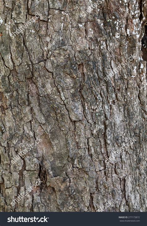 Dark Brown Tree Bark Texture Stock Photo 277173872 Shutterstock