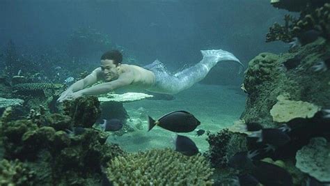 Merman Zac Mako Mermaid Mako Mermaids H2o Mermaids Mako Island Of Secrets