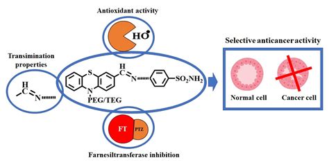 Ijms Free Full Text Antitumor Activity Of Pegylated And Tegylated