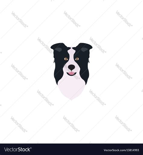 55 Easy Border Collie Face Drawing L2sanpiero