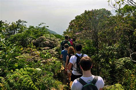 Rio De Janeiro Ganha Novos Roteiros De Passeios Guiados E Gratuitos