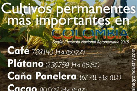 Caracter Sticas De La Agricultura Colombiana Colombia Verde