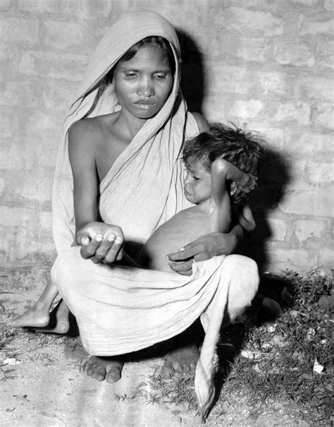 After Svalbard: why safety of world seed vaults is crucial to future