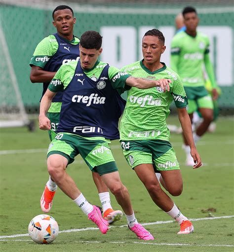 Palmeiras Inicia Preparação para Jogo da Libertadores Após Título do