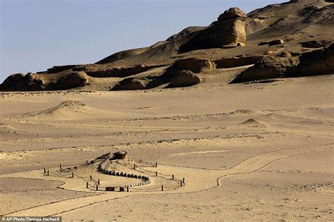 The ‘walking Whales Of Egypt Fossils In The Desert Are Remains Of 37