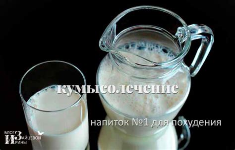 Кумыс. Полезные свойства и противопоказания. Польза и вред