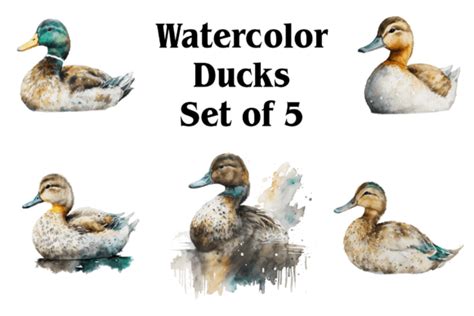 Watercolor Ducks Graphic By Alavays · Creative Fabrica