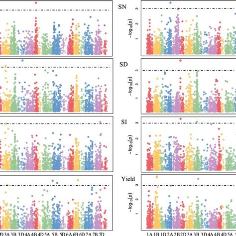 Manhattan Plots From The Genome Wide Association Study Gwas That Was