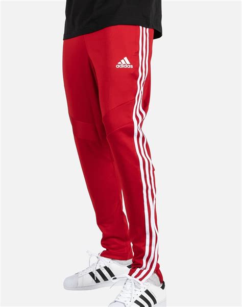 Adidas Tiro 19 Training Pants Dtlr