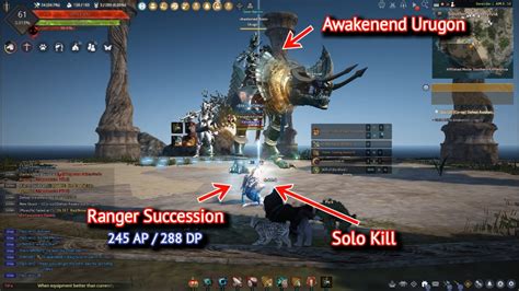 Solo Awakened Urugon 245 AP 288 DP Ranger Succession Black Desert