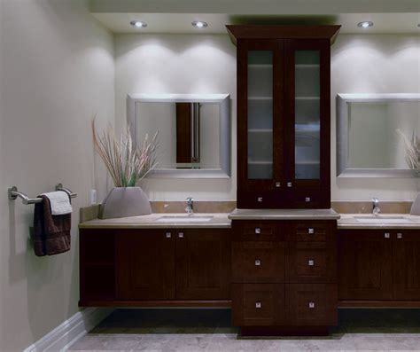 Contemporary Bathroom Vanities with Storage Cabinets - Kitchen Craft