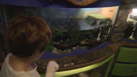 Maine Discovery Museum Hosts My Day To Play Program For Kids With