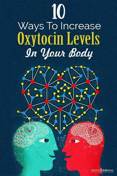 10 Helpful Ways To Increase Oxytocin Love Hormone Levels In Your Body