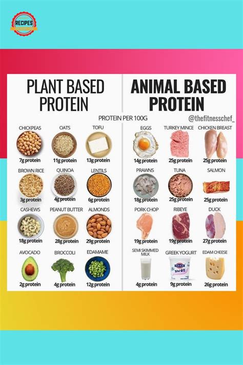 Animal Vs Plant Protein — Whats The Difference Healthy Food List