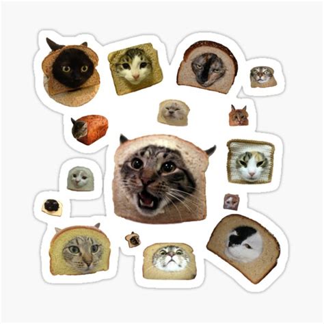 Bread Cat Gifts Merchandise Redbubble