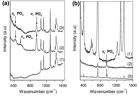 Micro Raman Spectra Of A Ldpe And B Ptfe Films Controls Spectrum