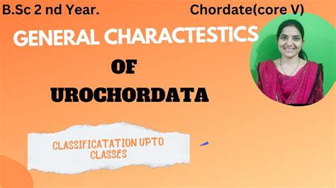 General Characteristics Of Urochordate Bsc Nd Year Classification Of