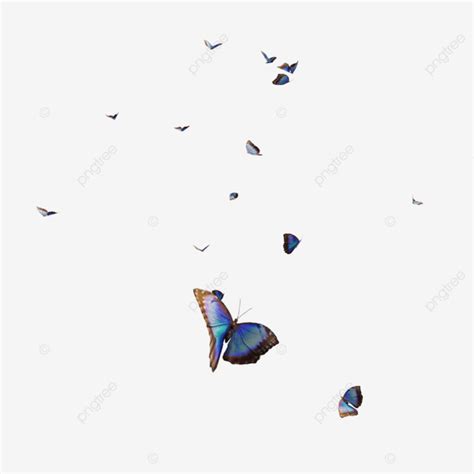 Mariposa Voladora Png Mariposa Hermoso Volar Png Y Psd Para