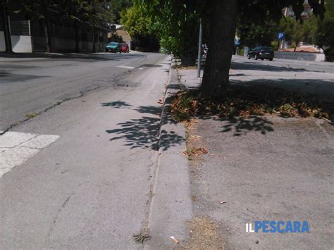 Degrado In Via Della Bonifica A Pescara Segnalazione A Pescara