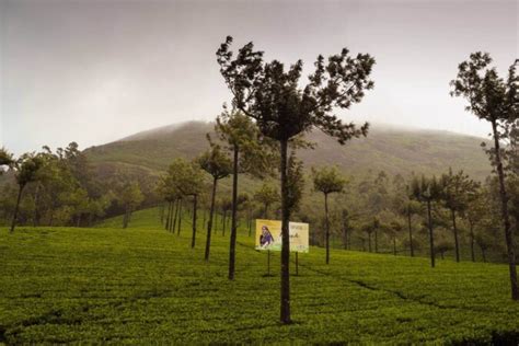 16 Best Places To Visit In Munnar Hill Station In Kerala Bon Travel India