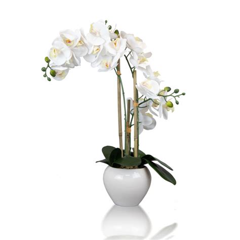 Primrue Natural Touch Latex Orchid Centerpiece In Pot Wayfair