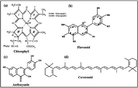 Chlorophyll A Pigment Color