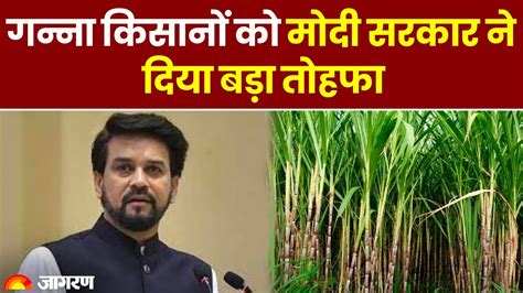 Sugarcane Farmer मोदी सरकार ने 5 करोड़ गन्ना किसानों को दिया तोहफा