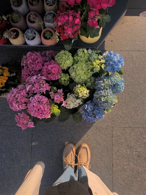 Bouquet of Colorful Flowers · Free Stock Photo