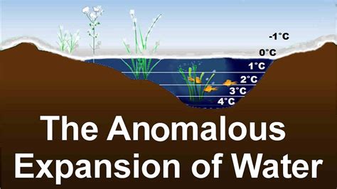 Pengertian Anomali Air Hingga Manfaat Untuk Kehidupan