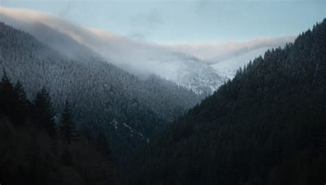 图片素材 景观 树 性质 森林 雪 冬季 云 山脉 天气 岭 首脑 阿尔卑斯山 地形 地理特征 大气现象