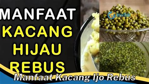 Temukan 6 Manfaat Kacang Ijo Rebus Yang Jarang Diketahui