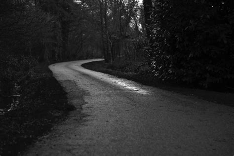 Images Gratuites Arbre Chemin Neige Hiver Noir Et Blanc Nuit