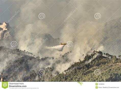 Bombers in action stock photo. Image of smoke, fire, extinguishing ...